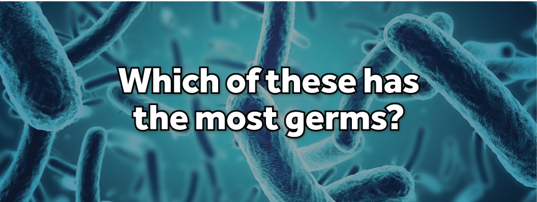 Which of these has the most germs?